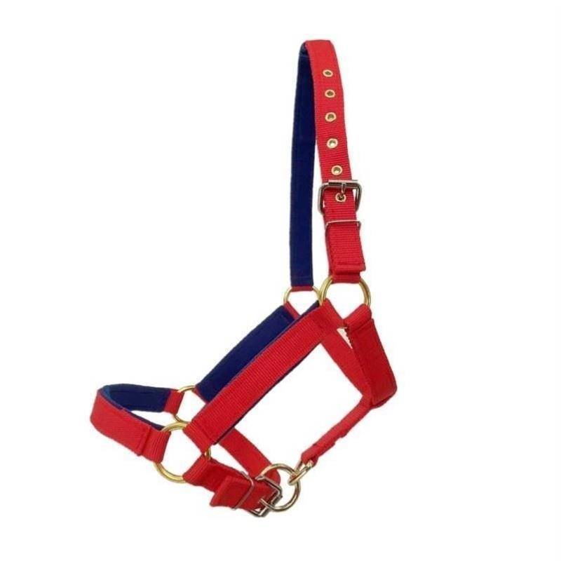 N78-STAMP CAGE L BIG RED